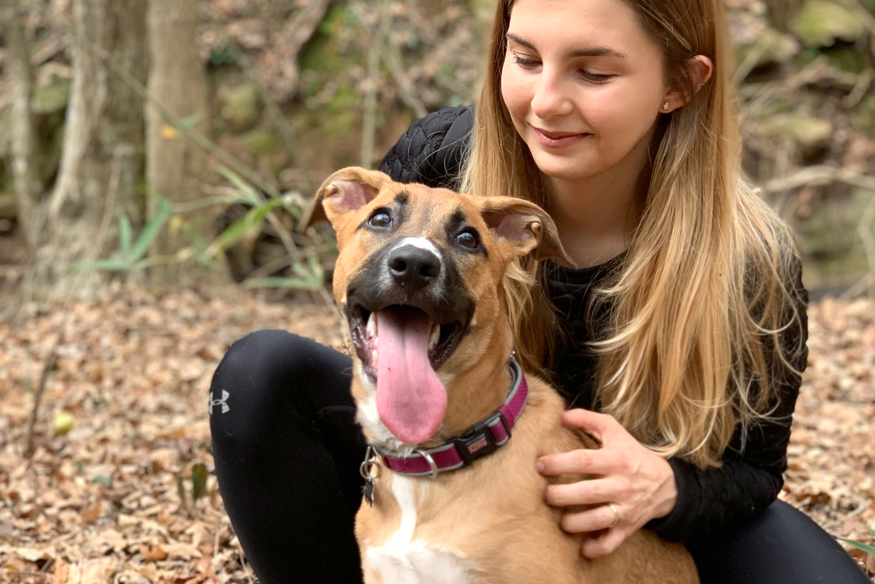 Animal rescue image